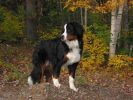 Filename=gGreatCrawfordFallPic.JPG
Filesize=120KiB
Dimensions=757x568
Date added=Nov 02, 2005 gGreatCrawfordFallPic.JPG