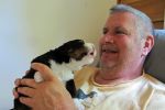 Filename=sfCave_Litter_16_Days_old_024.jpg
Filesize=105KiB
Dimensions=1200x800
Date added=Jul 12, 2015 sfCave_Litter_16_Days_old_024.jpg