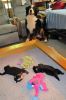 Filename=sfCave_Litter_16_Days_old_030.jpg
Filesize=108KiB
Dimensions=800x1200
Date added=Jul 12, 2015 sfCave_Litter_16_Days_old_030.jpg