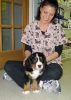 Filename=sfLPuppies122012_027.jpg
Filesize=101KiB
Dimensions=1000x1400
Date added=Dec 21, 2012 sfLPuppies122012_027.jpg