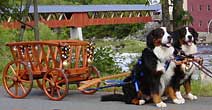 Antique Hay Wagon