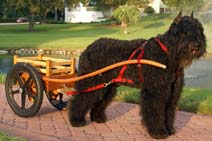 K9 Dog Cart